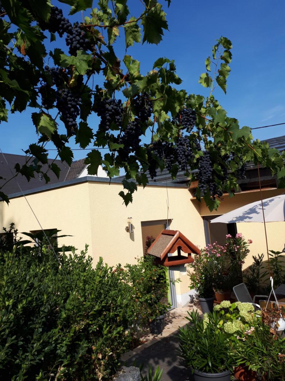בראונברג Gaestehaus Jufferpanorama מראה חיצוני תמונה